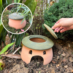 Tino Kino frog and toad house detachable lid design for easy cleaning