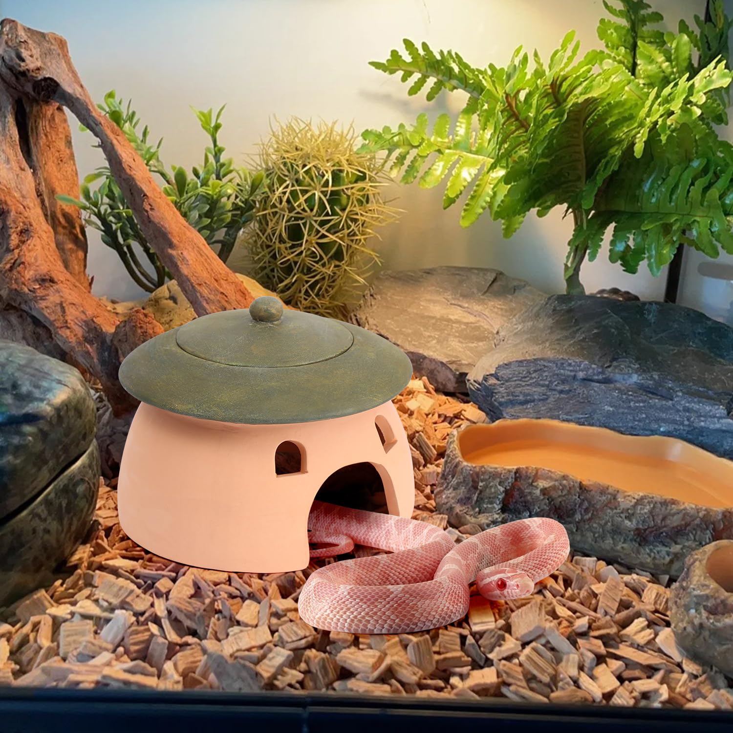 Tino Kino frog and toad house garden setting nestled among plants