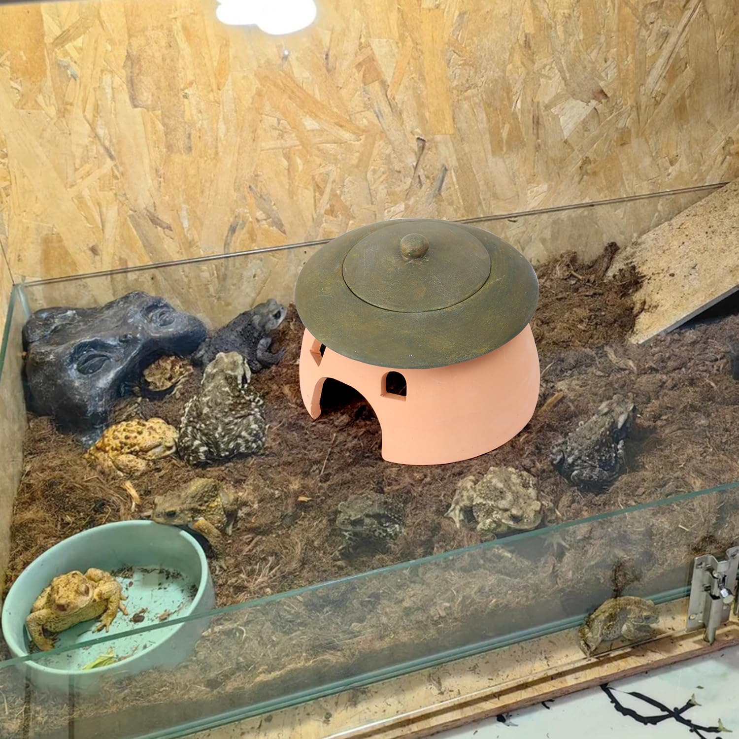Tino Kino frog and toad house green lid detail pumpkin mushroom motif