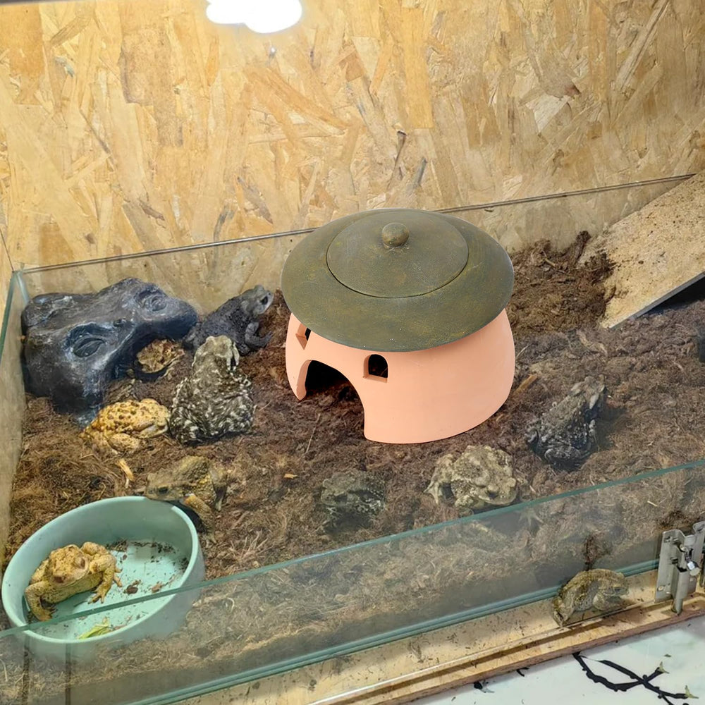 Tino Kino frog and toad house green lid detail pumpkin mushroom motif