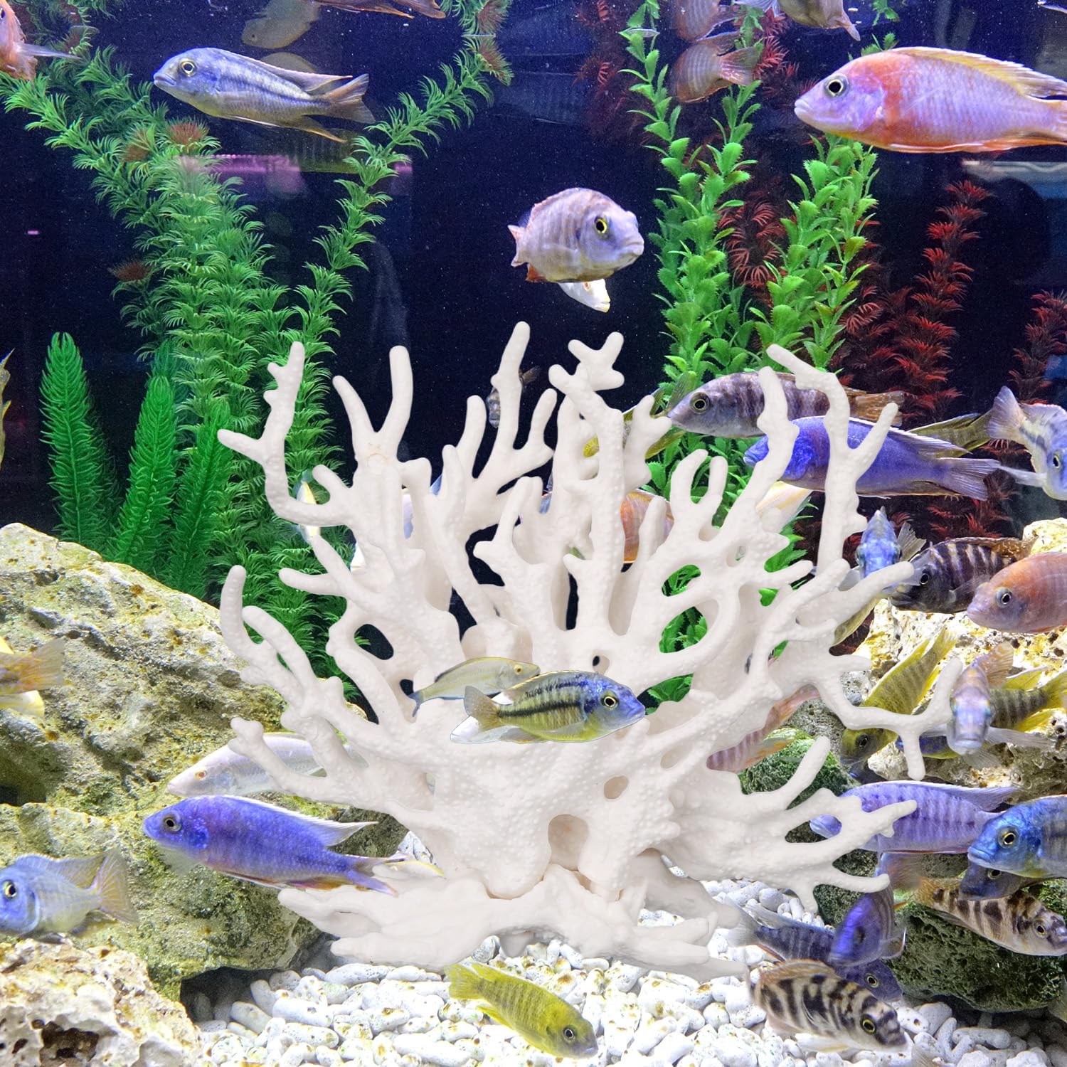 Tinoaly durable resin coral decor withstands humid tanks and long-lasting use