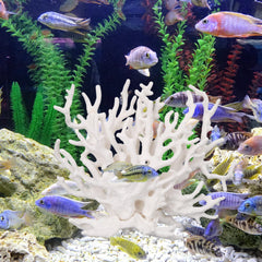 Tinoaly durable resin coral decor withstands humid tanks and long-lasting use