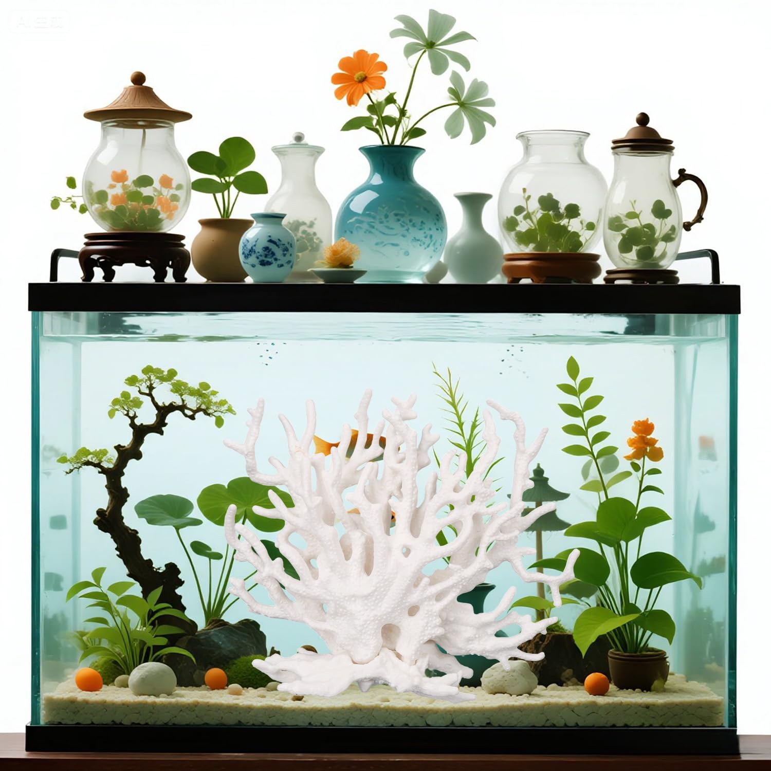 Tinoaly glass container aquarium decor creates vibrant reef-like focal point