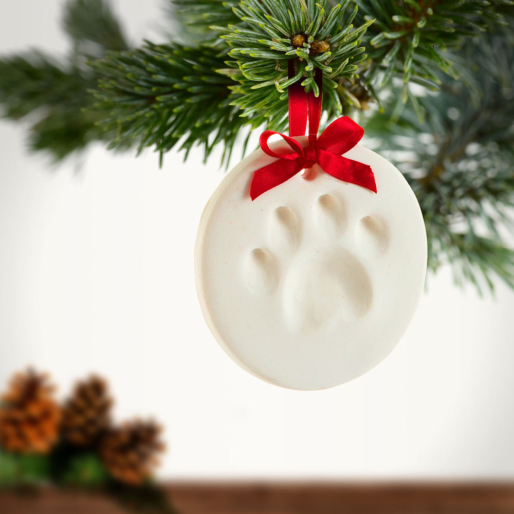 Tiny Ideas paw print ornament kit drying time for durable holiday keepsake.