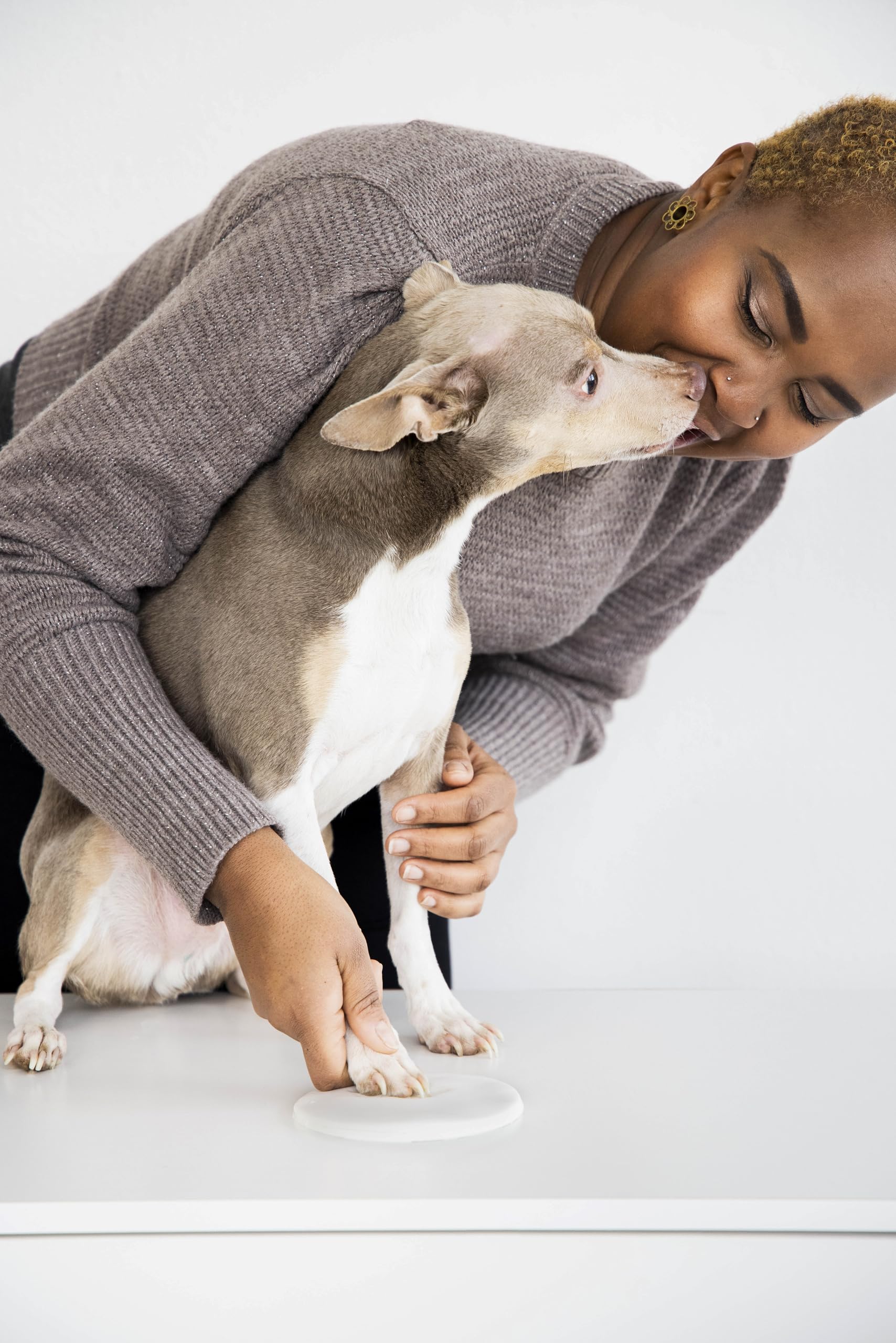 Tiny Ideas paw print ornament kit plastic hole punch streamlines hanging-ready keepsakes.