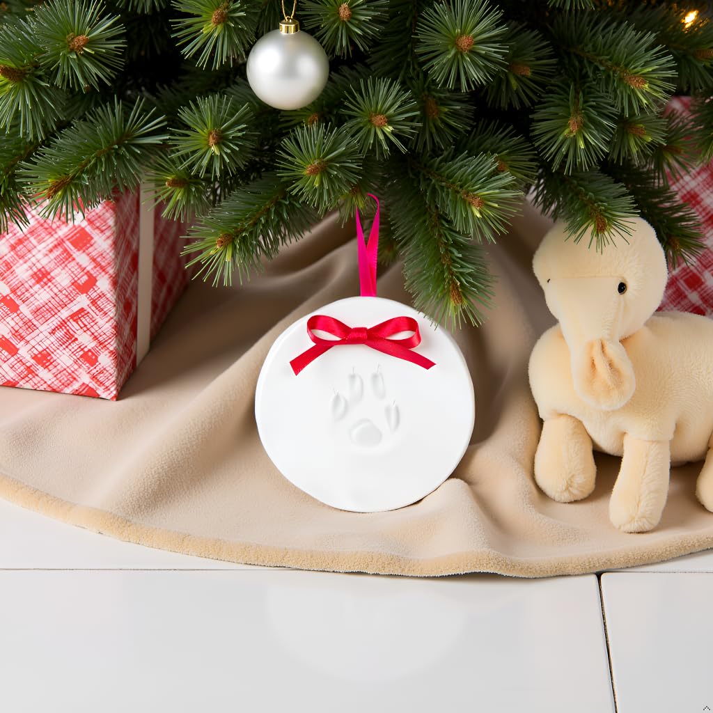 Tiny Ideas paw print ornament kit paw impression captures memory of pet.