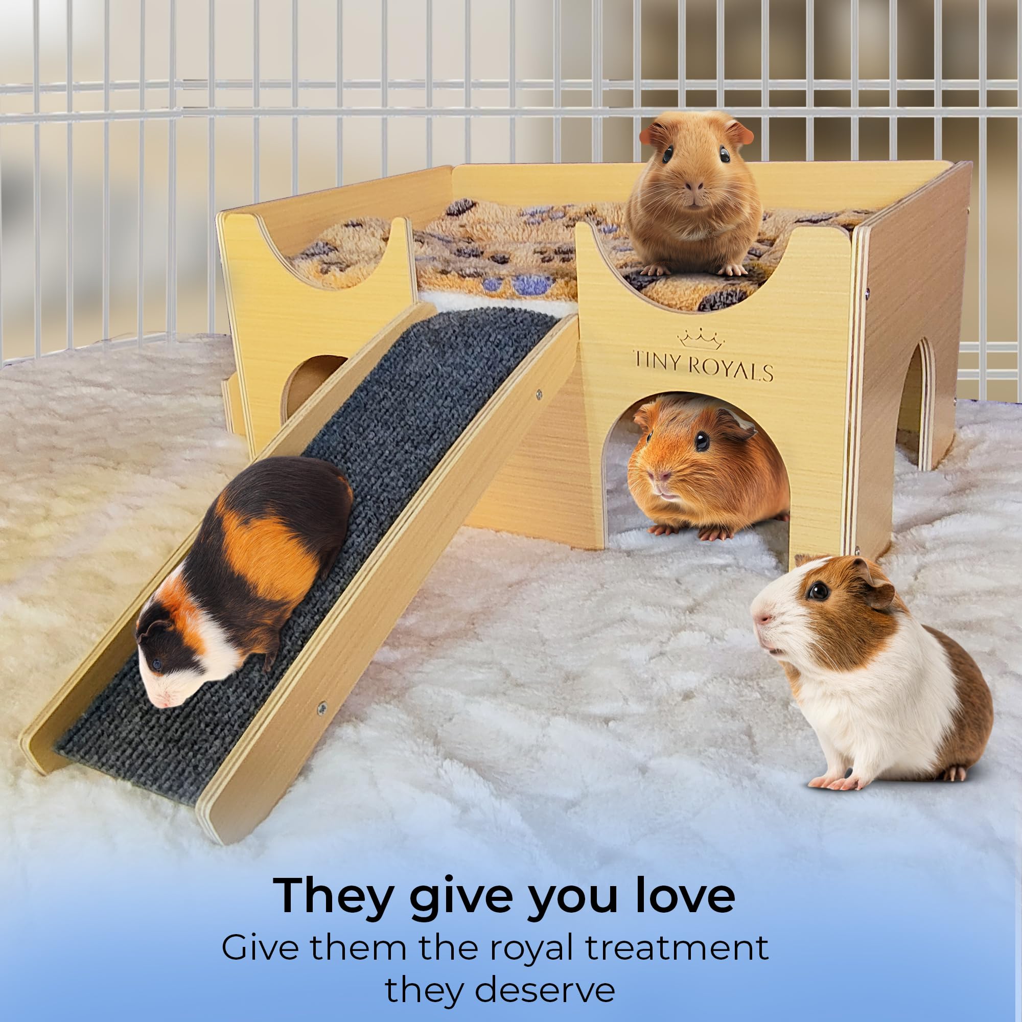 Tiny Royals multi-pet hideout setup, cozy space for resting and play