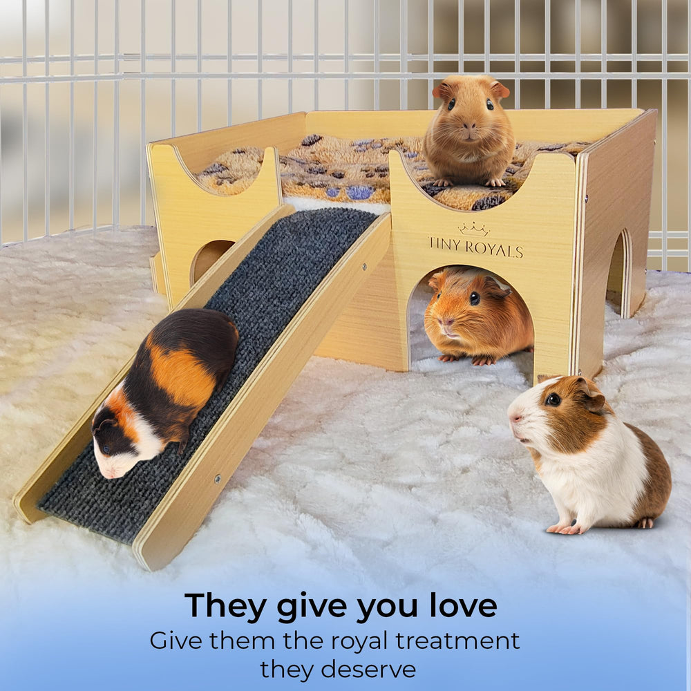 Tiny Royals multi-pet hideout setup, cozy space for resting and play