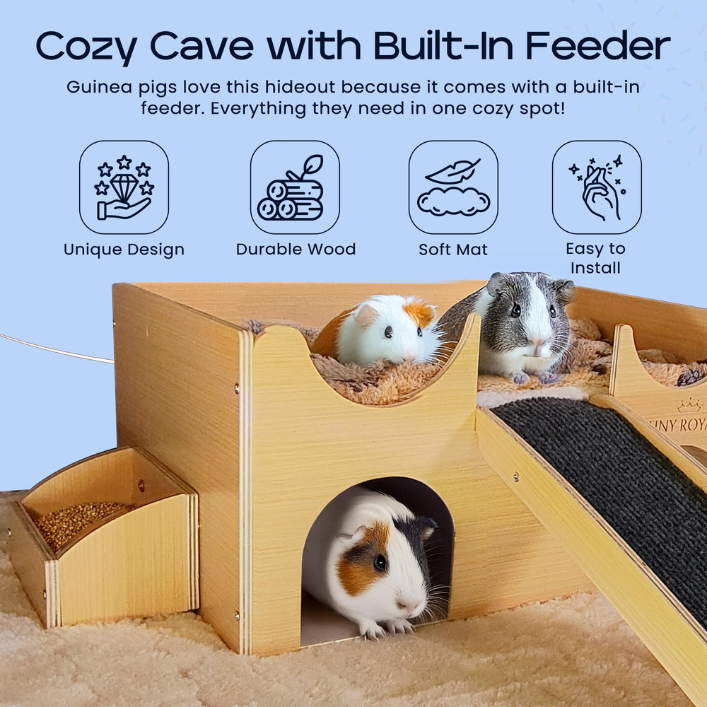 Tiny Royals wooden hideout with built-in feeder, close-up on feeding slot