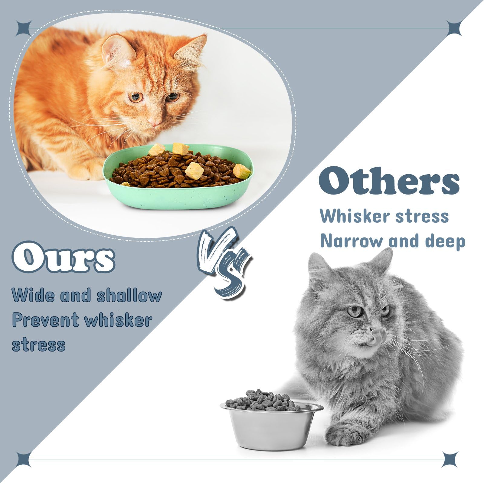 Tioncy beige set versatile for dry, wet food or water.