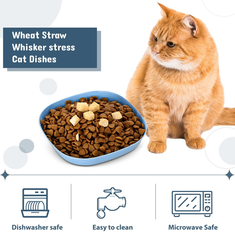 Tioncy green set supports whisker comfort during meals.