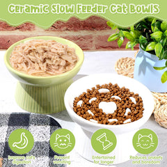 Tioncy cat bowl measures 15 cm diameter, fitting medium cats with space.