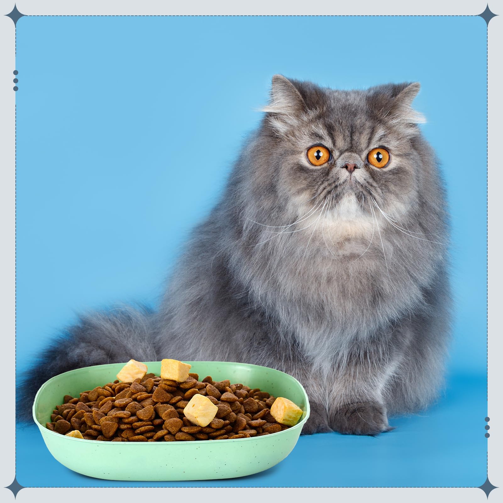Tioncy low-opening cat-food tray for easy feeding.
