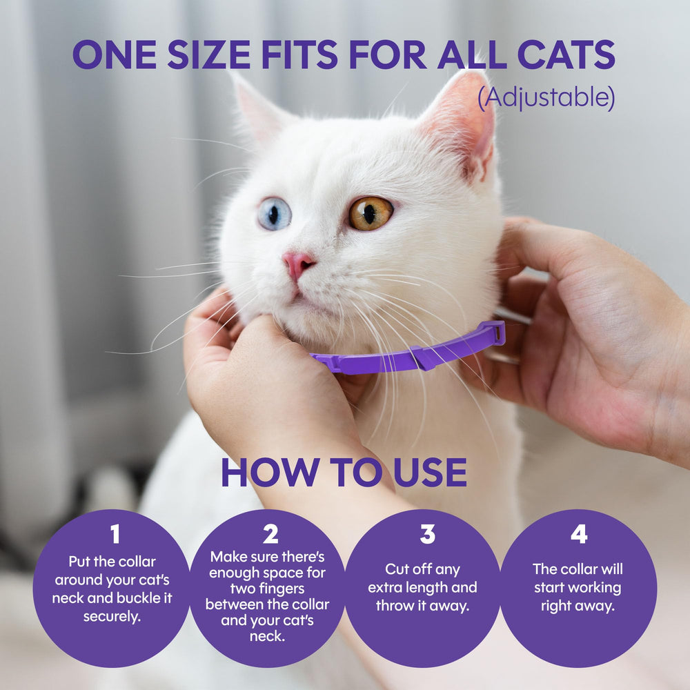 Tioupi-4pack-packaging-inside features eco-friendly packaging options for multiple cats
