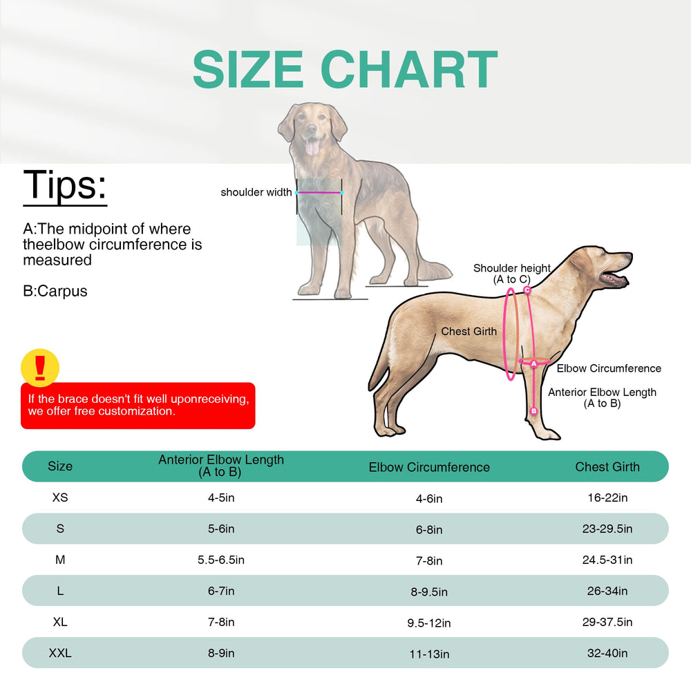 TIPOOP dog arthritis-relief wrap supports movement and comfort