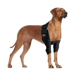 TIPOOP Dog Elbow Brace XL front view shows secure elbow support for daily activity.
