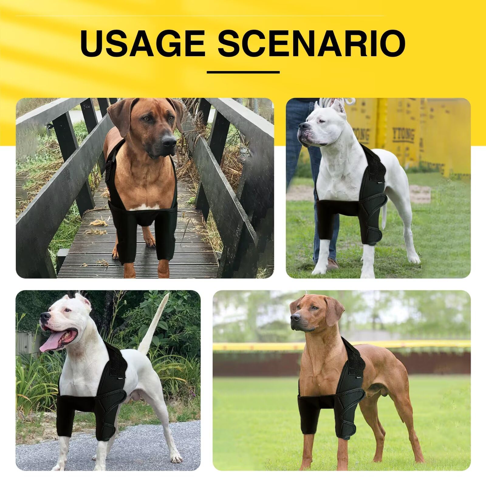 TIPOOP Dog Elbow Brace XL in-use-on-dog shows comfortable wrap during recovery support.