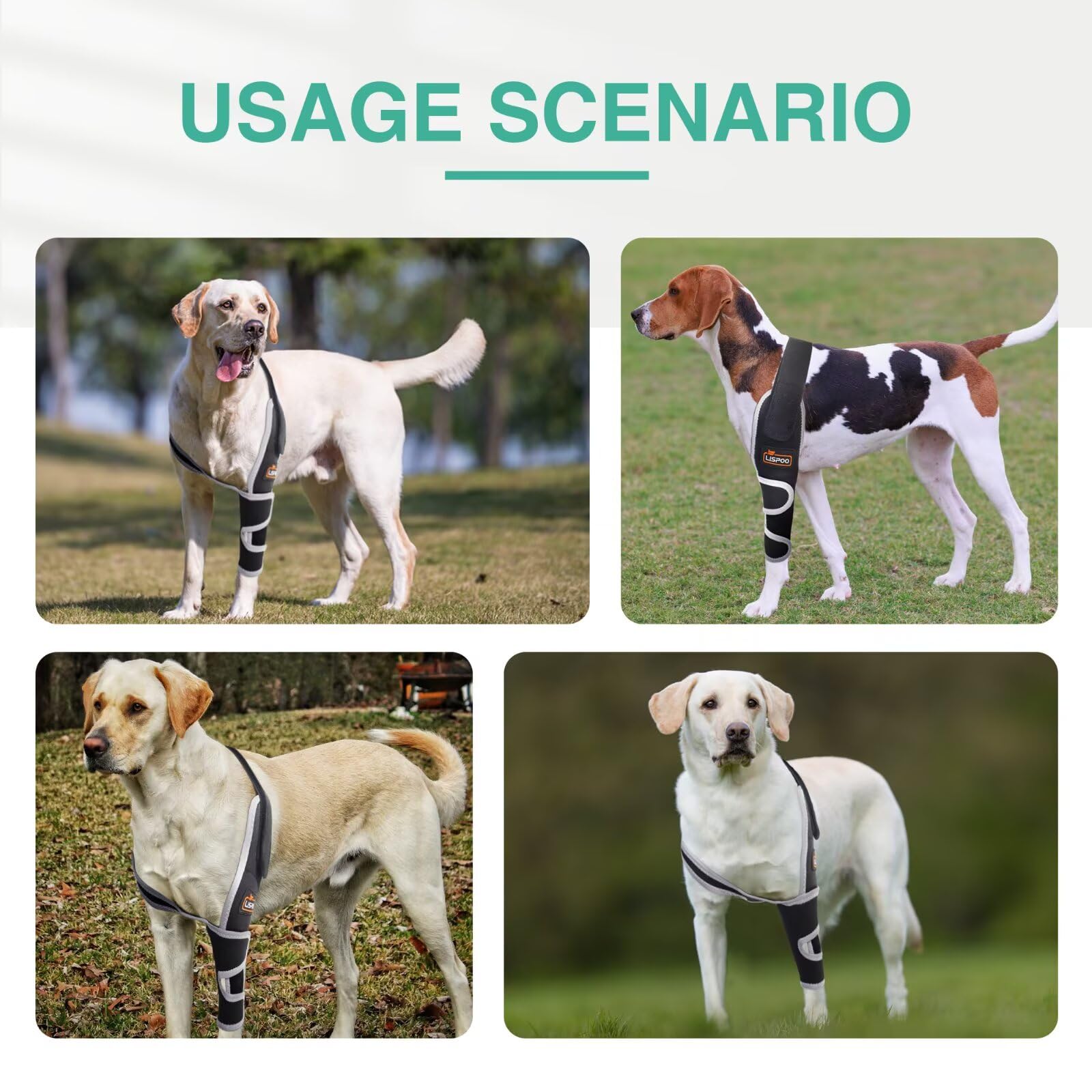 TIPOOP elbow brace adjustable strap demonstrates easy secure fit for dogs