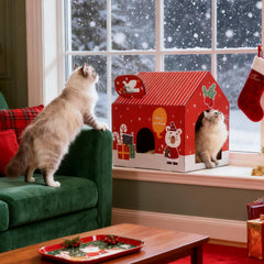 Tisoloow cat house with a wide entrance for easy access and comfy hideaway.