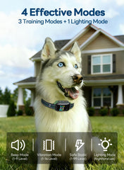 TISOOG green collar close-up with adjustable strap for 8-120 lb dogs.