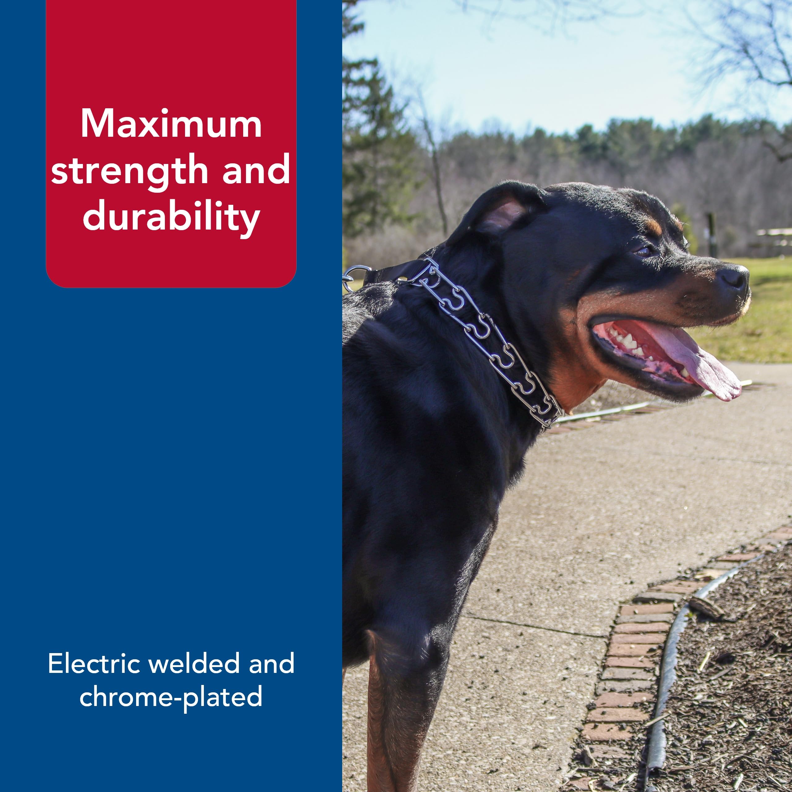 Titan Coastal Pet chrome-plated buckle provides secure, reliable fastening.