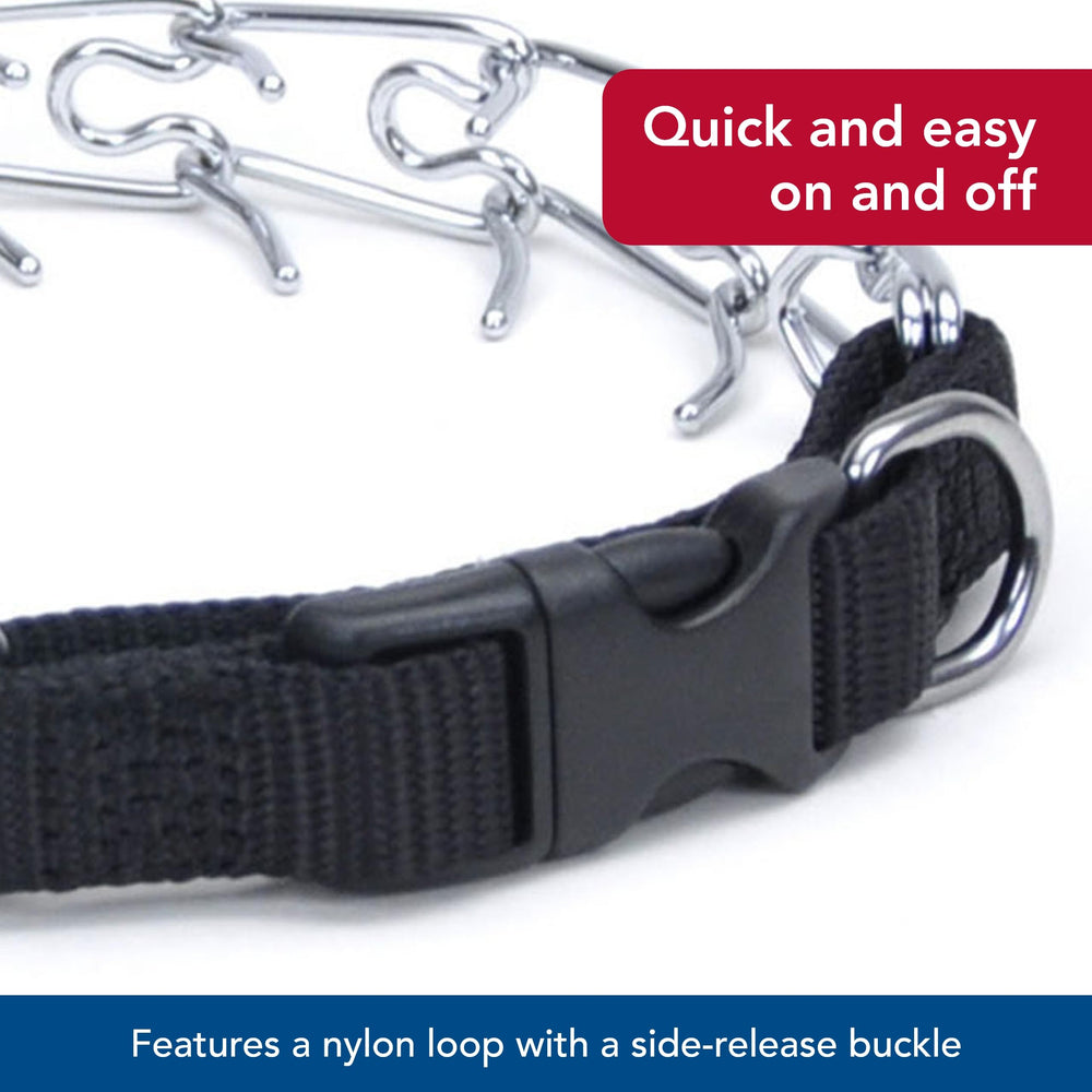 Titan Coastal Pet nylon loop enables quick on/off during walks.