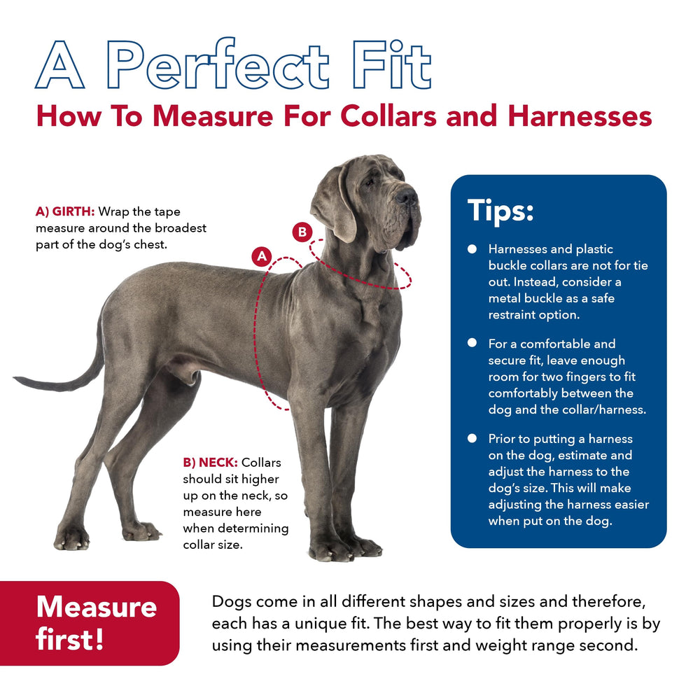 Titan Easy-On collar on black background highlights durability and clean design.