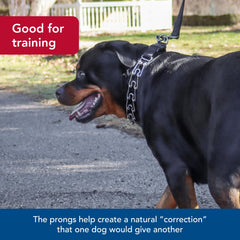 Titan Easy-On collar worn during training demonstrates even pressure distribution.