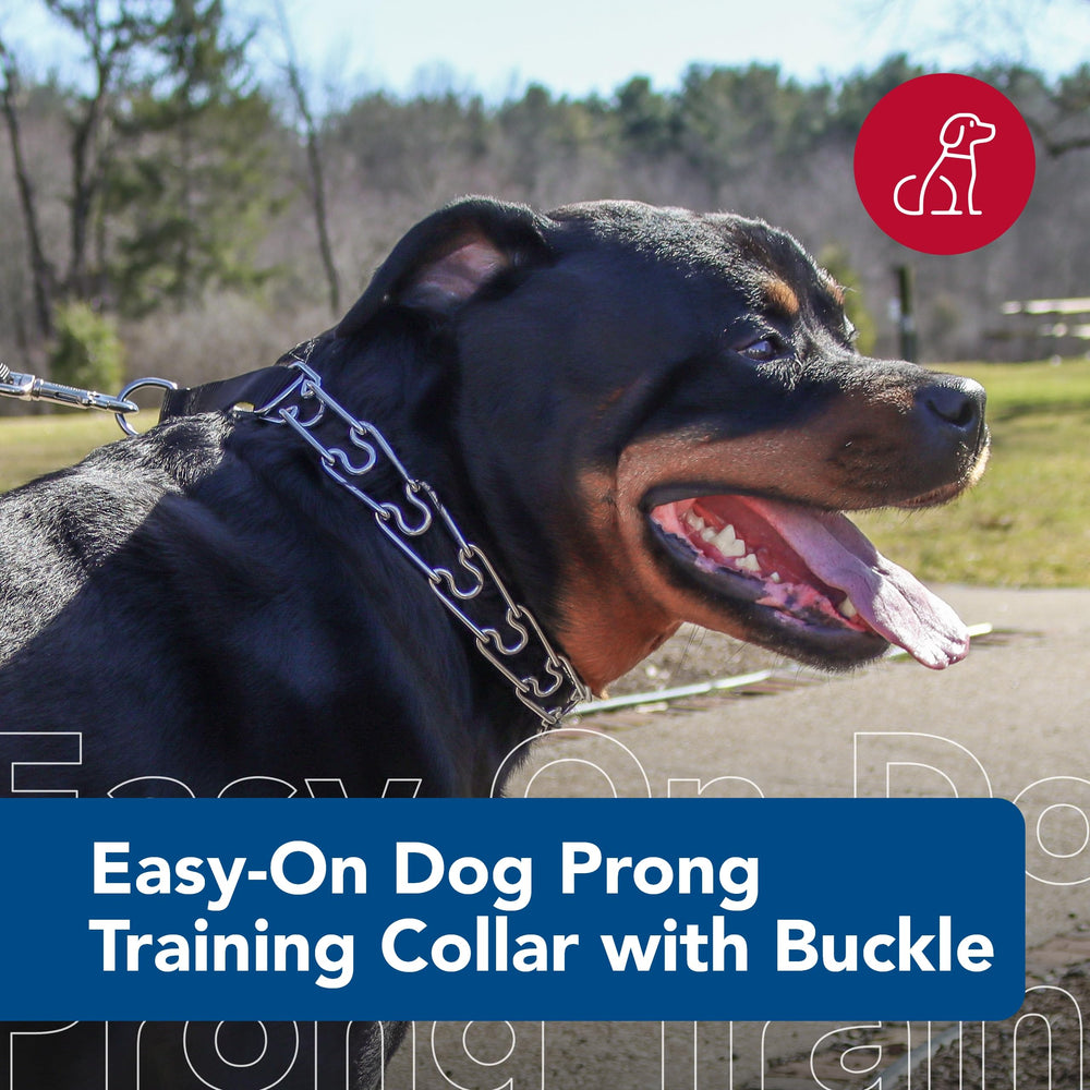 Titan Easy-On prong collar close-up shows chrome-plated steel and sturdy construction.