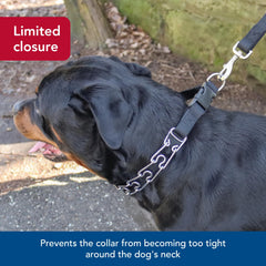 Titan prong collar features limited closure to prevent over-tightening.
