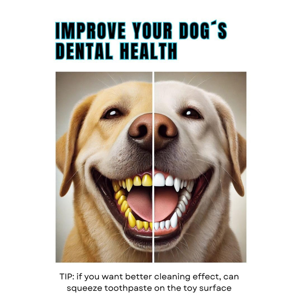 TITAN PUP TOYS molar bone ideal for aggressive chewers