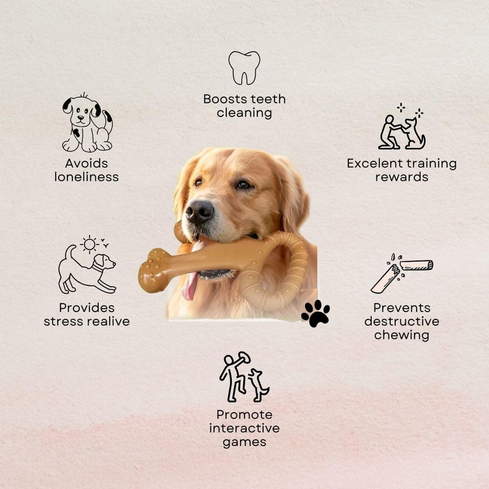 TITAN PUP TOYS molar bone beef aroma enhances chew time