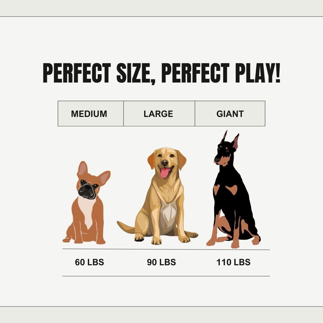 TITAN PUP TOYS molar bone safe non-toxic nylon for large dogs