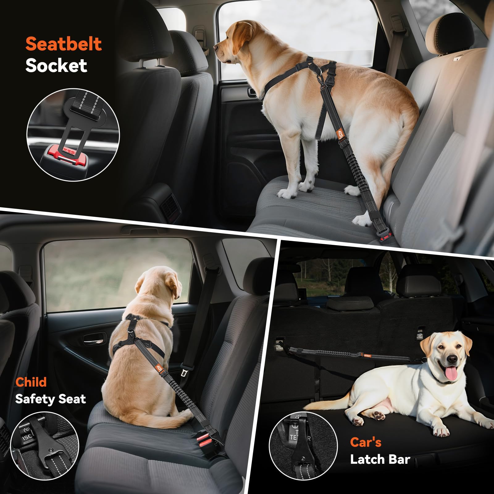 Tivray car interior view demonstrates easy installation and pet comfort.