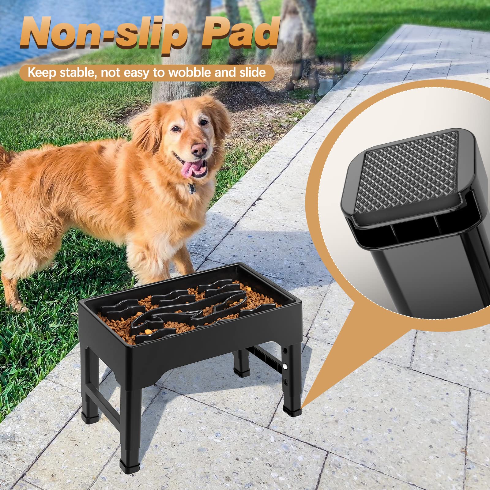 Tivray elevated dog mealtime posture supports comfortable eating for larger breeds.
