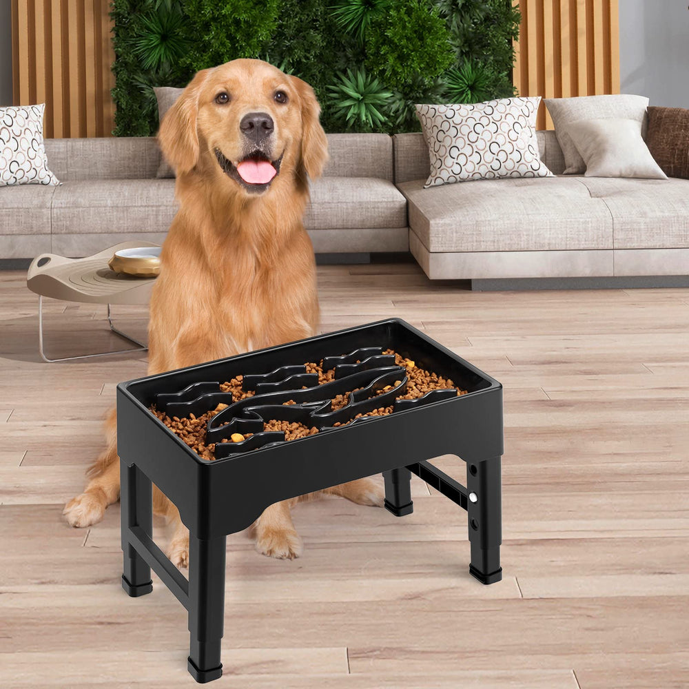 Tivray mealtime slow feeder highlights organized feeding for busy households.