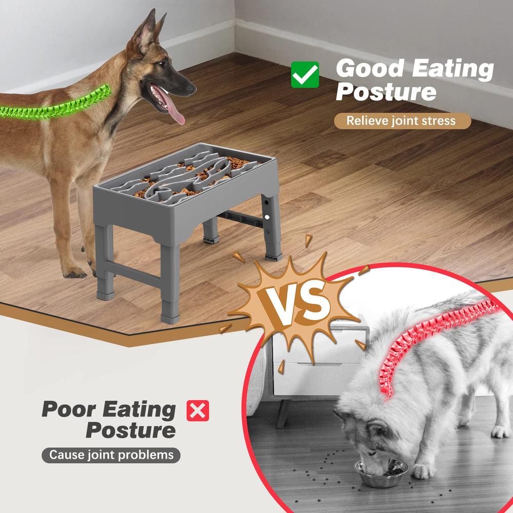 Tivray large-bowl capacity accommodates dry and wet food