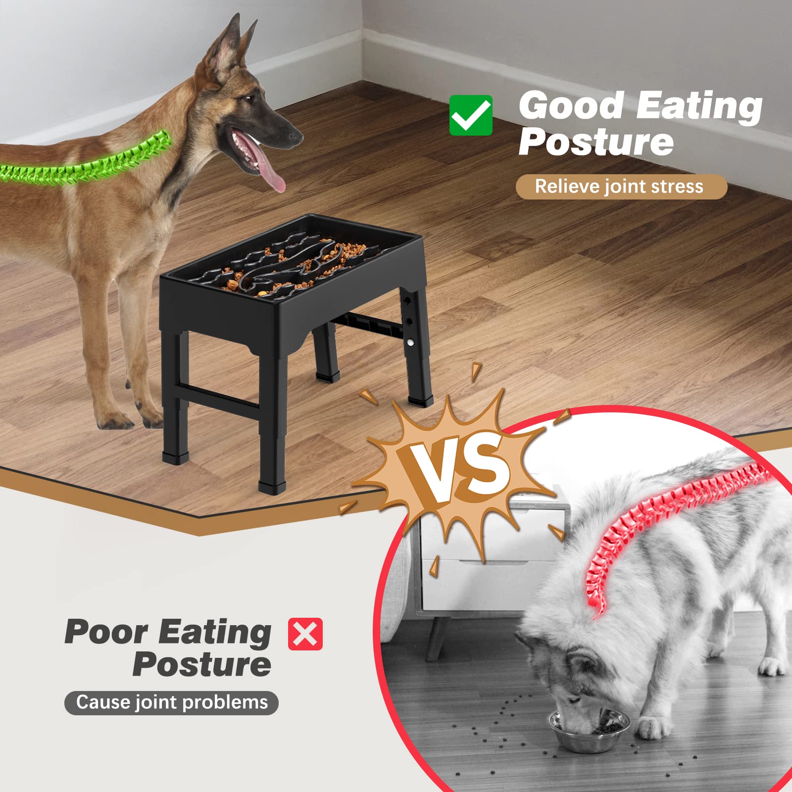 Tivray slow feeder bowl capacity 2.2L supports dry or wet food for multi-pet households.