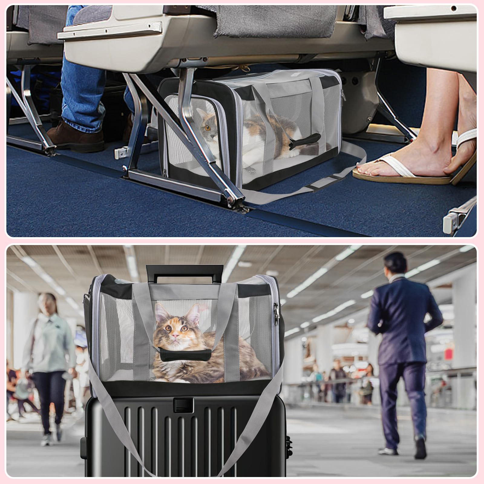 TIYOLAT cat carrier plush inner cushion enhances pet comfort on journeys.