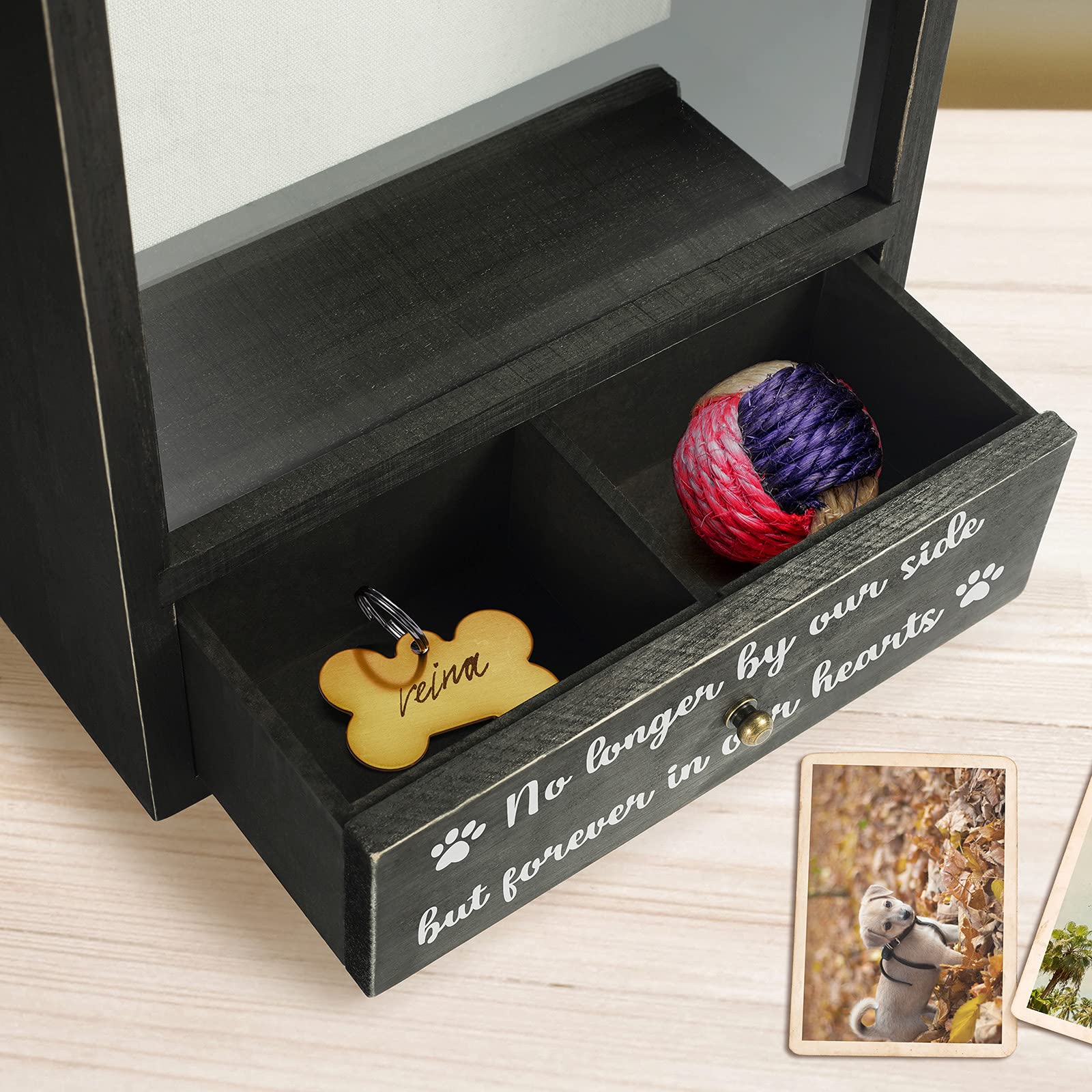 TJ.MOREE dog memorial shadow box hooks image shows easy wall mounting with two metal hooks