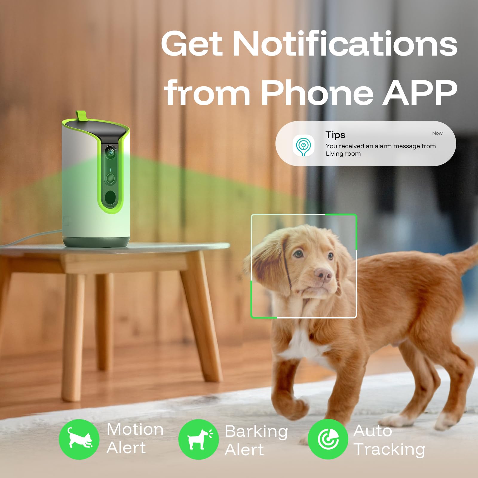 TKENPRO indoor cat view shows safe monitoring for indoor pets.