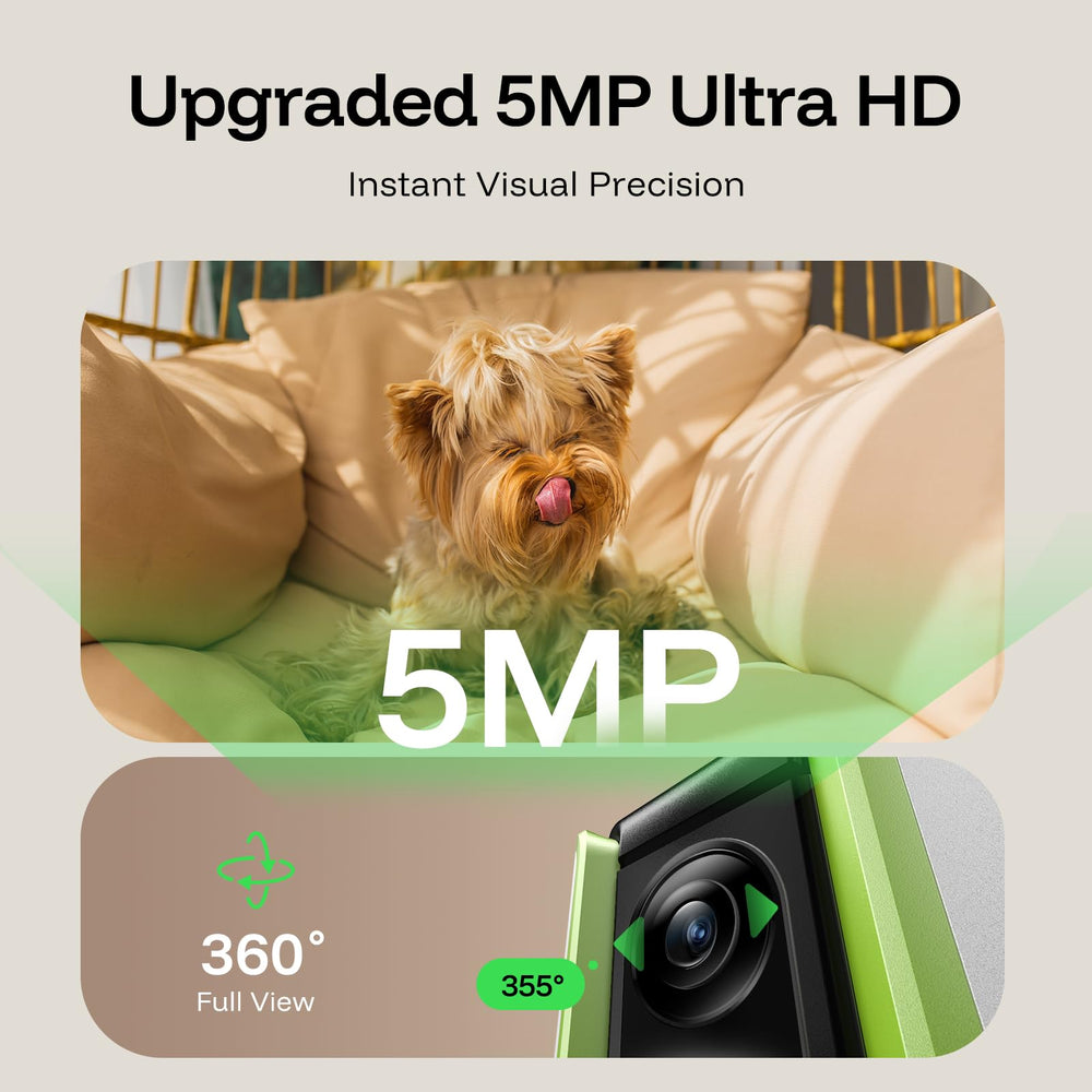 TKENPRO treats dispenser remote tossing demonstrates interactive play from the app.