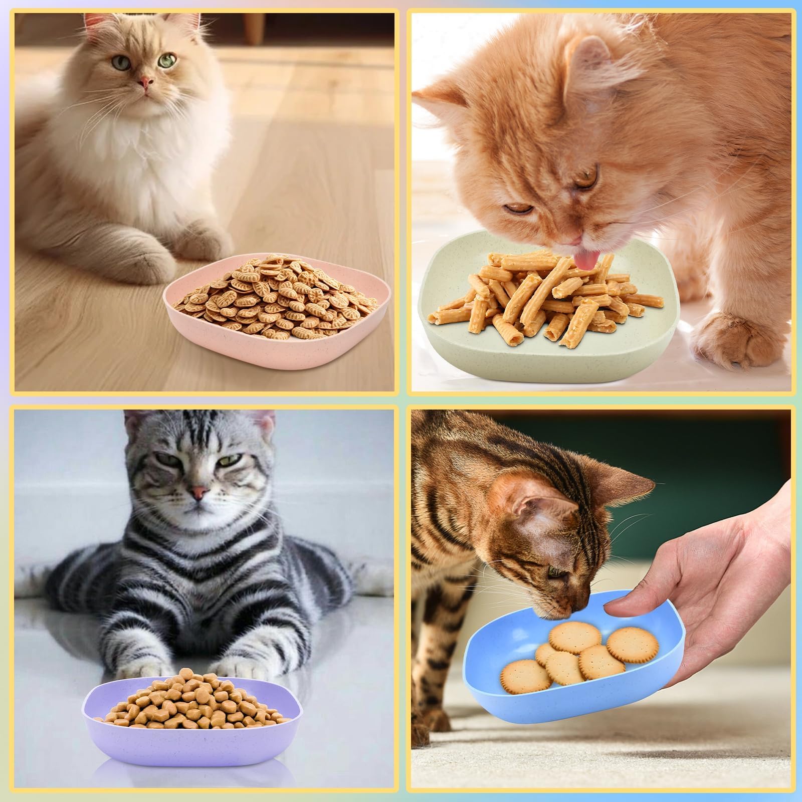 TKOnline bowls suit both indoor and outdoor feeding sessions.