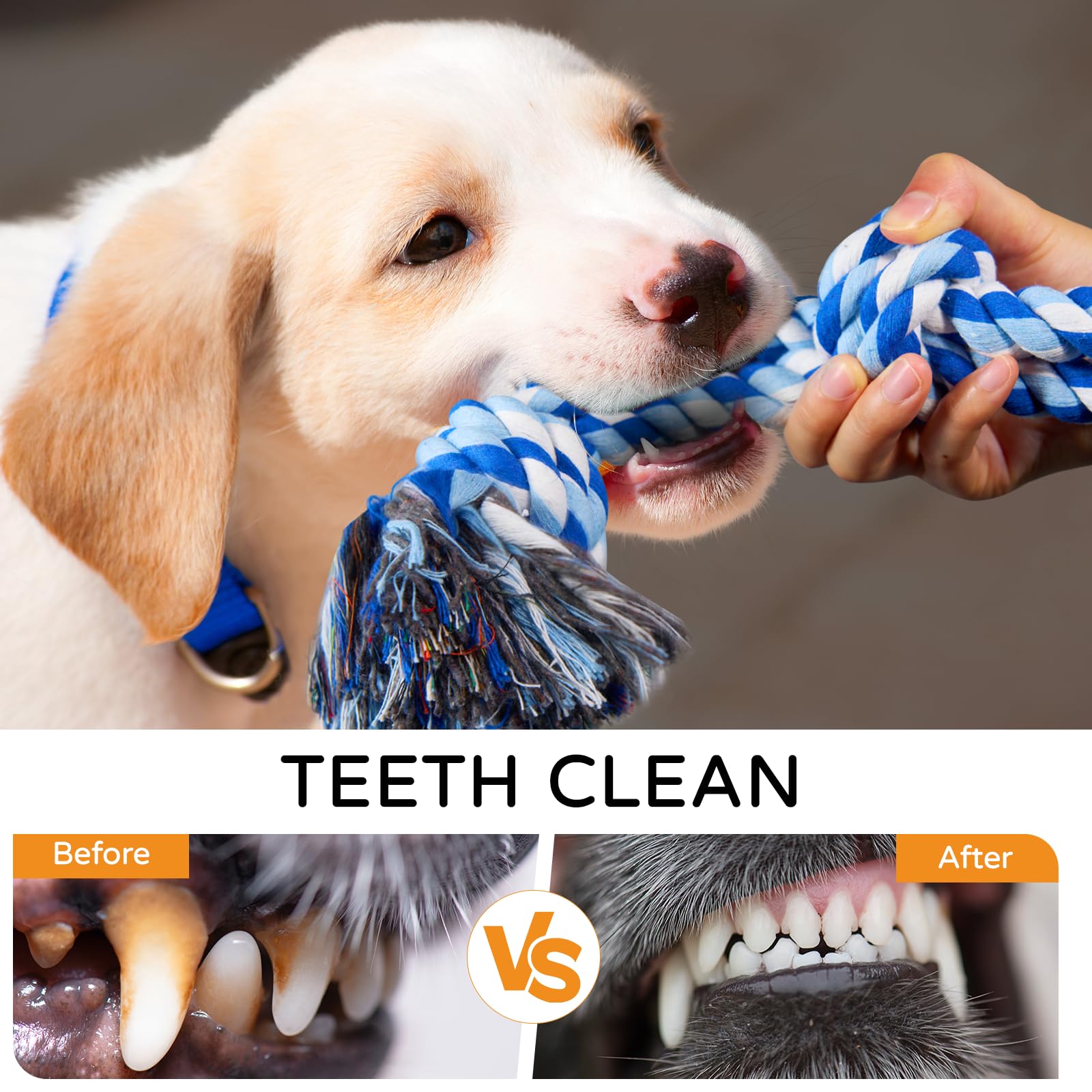 TLAZZ cotton rope fibers offer sturdy bite-resistant construction for chewers