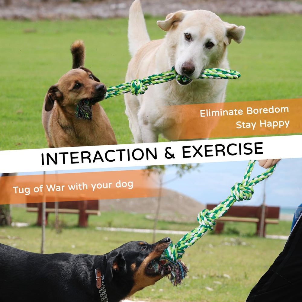 TLAZZ dog rope toy in action during owner-dog tug session
