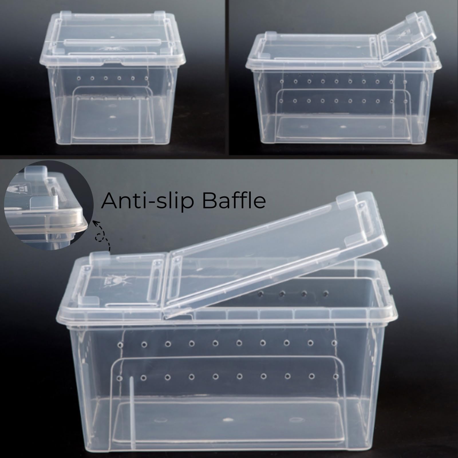 Tlence feeding box open lid demonstrates easy access for feeding and handling