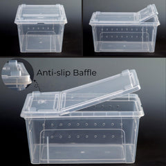 Tlence feeding box open lid demonstrates easy access for feeding and handling
