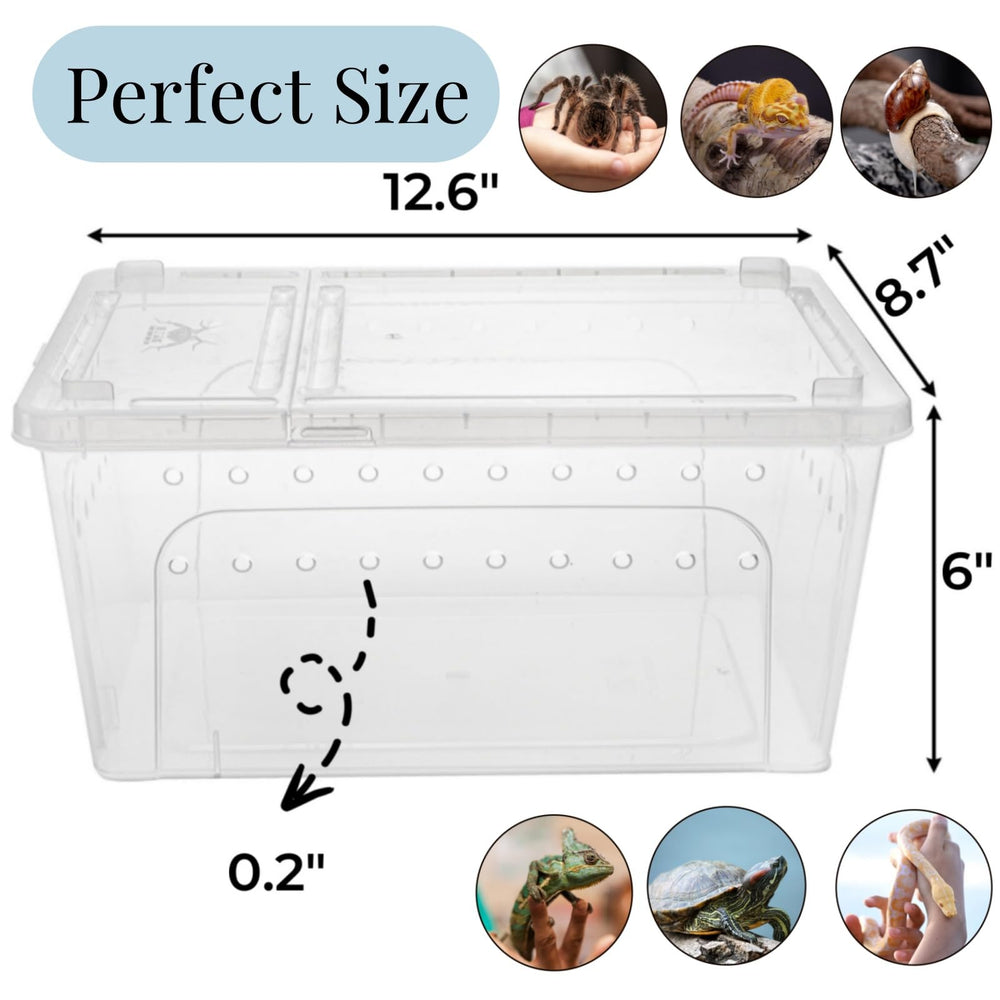 Tlence reptile feeding box side view highlighting compact footprint for storage