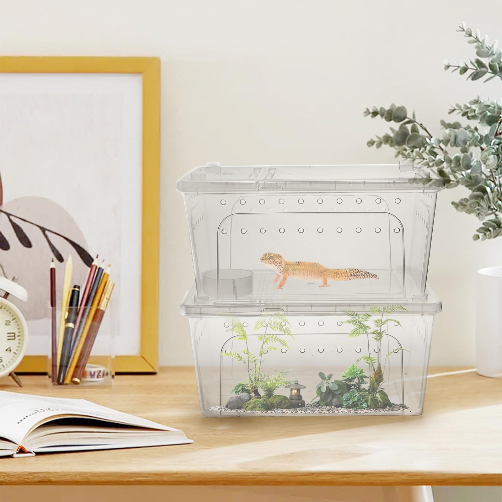 Tlence transparent habitat body offers full observation and gentle handling