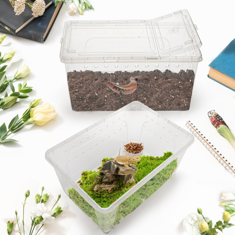 Tlence habitat with feeding bowl shows secure, convenient feeding support
